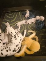 IMG_20250116_172735_web