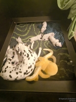 IMG_20250116_172740_web