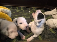 IMG_20250117_090723_web