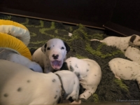 IMG_20250117_090729_web