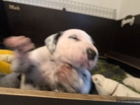 IMG_20250117_090749_web