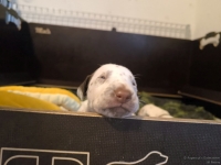 IMG_20250117_090757_web