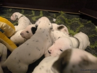 IMG_20250117_090835_web