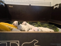 IMG_20250117_090846_web