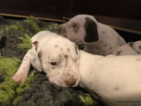 IMG_20250117_091056_web