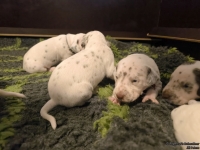 IMG_20250117_091104_web