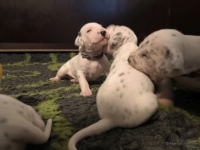 IMG_20250117_091105_web