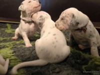 IMG_20250117_091107_web