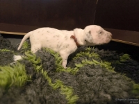 IMG_20250117_091205_web