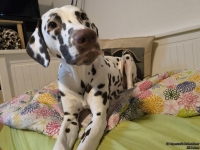 IMG_20250117_092636_web