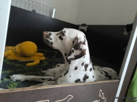 IMG_20250118_121452_web