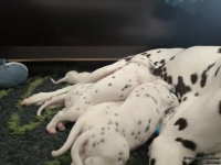 IMG_20250118_121501_web