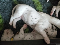 IMG_20250118_121506_web