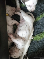 IMG_20250118_121540_web