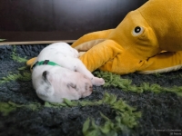 IMG_20250118_121555_web