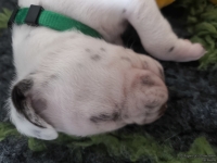 IMG_20250118_121621_web