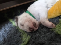 IMG_20250118_121626_web