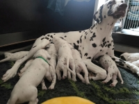 IMG_20250118_121650_web