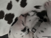 IMG_20250118_121711_web