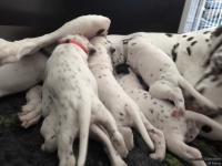 IMG_20250118_121725_web