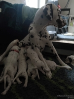 IMG_20250118_121741_web