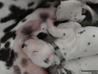 IMG_20250118_121843_web