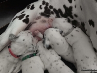 IMG_20250118_121850_web