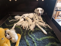 IMG_20250118_161522_web