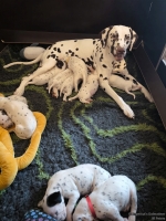 IMG_20250118_161535_web