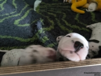 IMG_20250119_110936_1_web