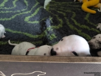 IMG_20250119_110936_web