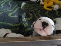 IMG_20250119_110940_web