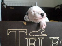 IMG_20250119_110953_1_web