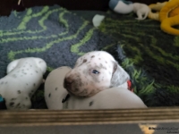 IMG_20250119_111027_web