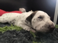 IMG_20250119_111042_web