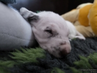 IMG_20250119_111121_web