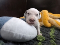 IMG_20250119_111126_web