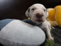 IMG_20250119_111129_web