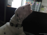 IMG_20250119_111146_web