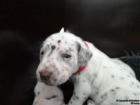 IMG_20250119_111220_web