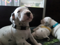 IMG_20250119_111249_web