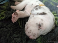 IMG_20250119_111352_web