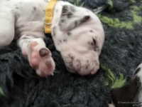 IMG_20250119_111410_web