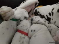 IMG_20250119_111642_web