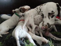 IMG_20250119_111656_web