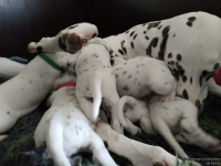 IMG_20250119_111658_web