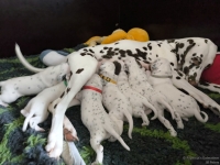 IMG_20250119_112157_web