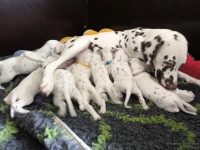 IMG_20250119_112202_web