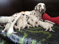 IMG_20250119_112207_web