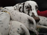 IMG_20250119_112254_web